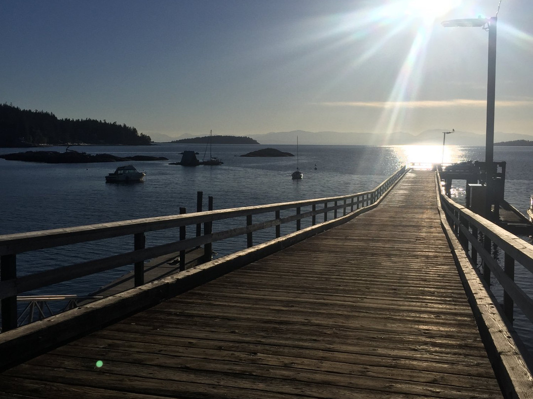 Self Realization Sevalight Centre for Pure Meditation Healing & Counselling主图