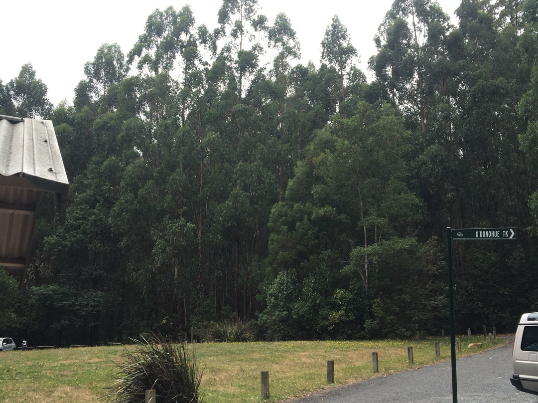 O'Donohue Picnic Ground-希尔布鲁克必去景点