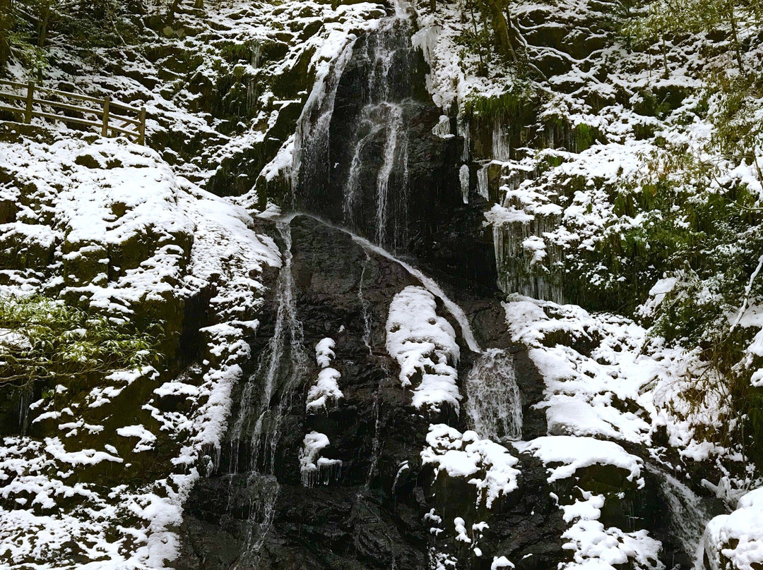 Shiraito Falls景点图片
