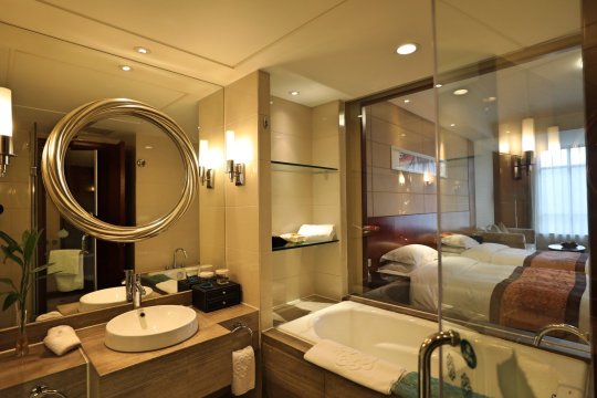 宜兴金陵竹海国际会议中心-浴室