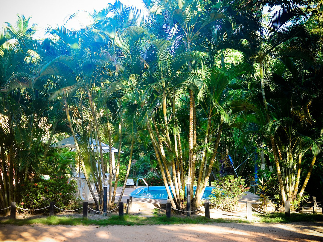 Pousada Cabanas Cajiba主图