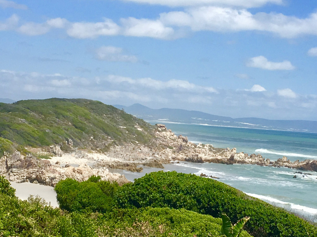 Birkenhead House主图