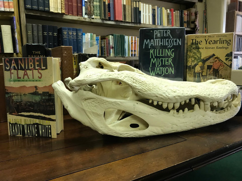 Everglades Fine Books-迈尔斯堡必去景点