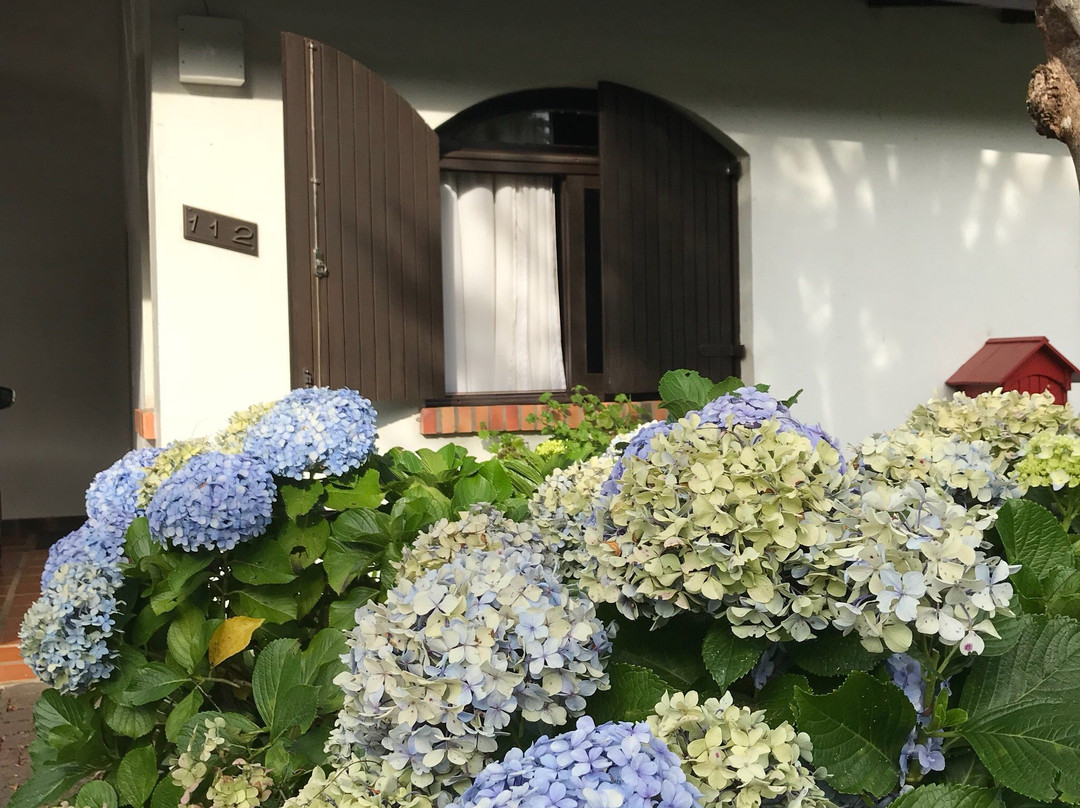 Vila Suzana Parque Hotel主图