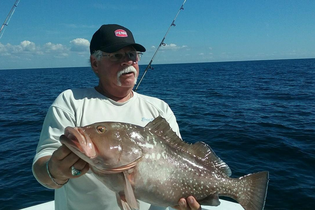 Paradise Fishing Charters-Cape Haze必去景点