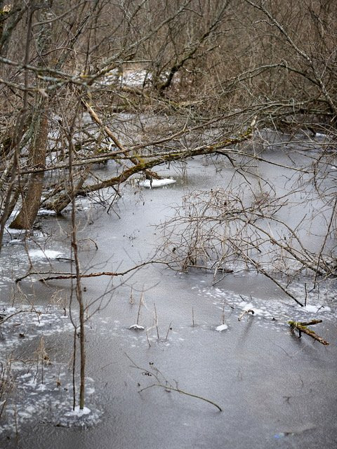 Beaver Trail景点图片