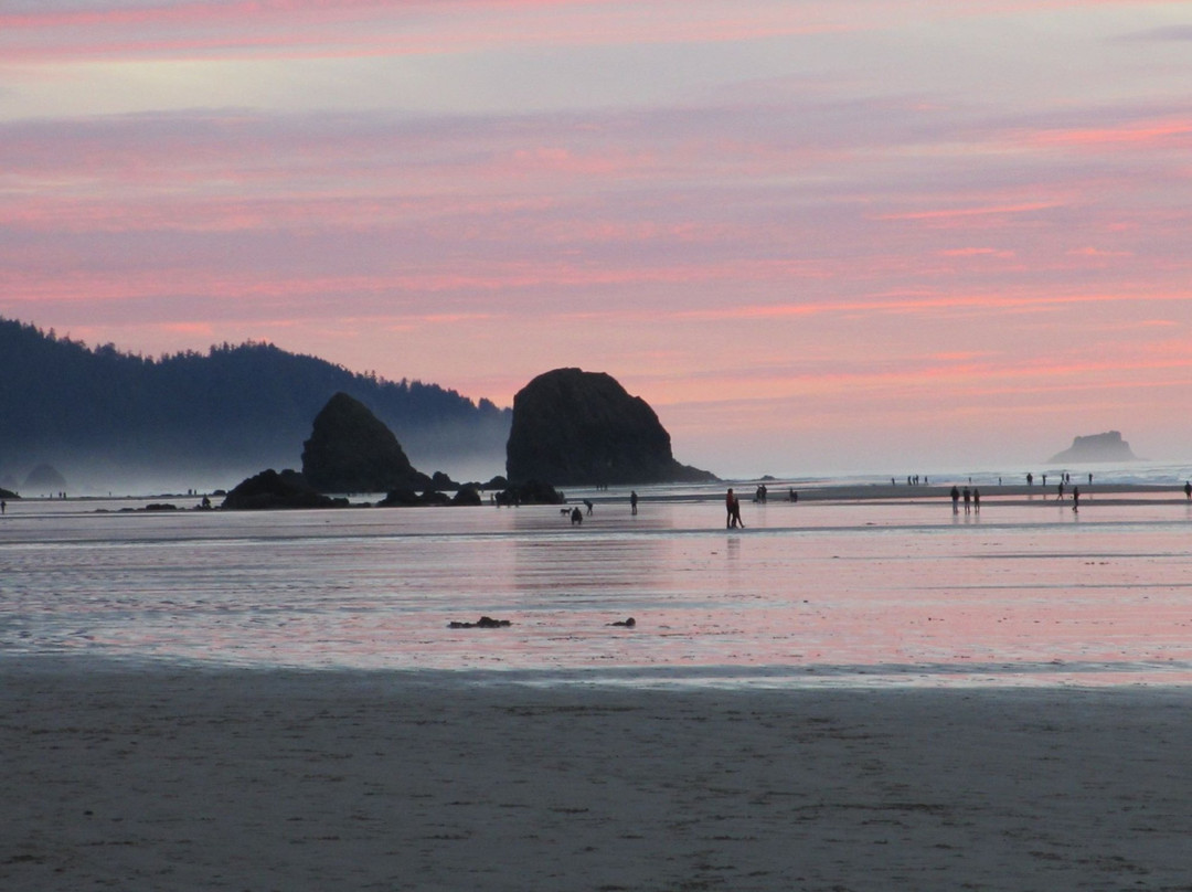 Tolovana Beach State Recreation Site-坎农比奇必去景点
