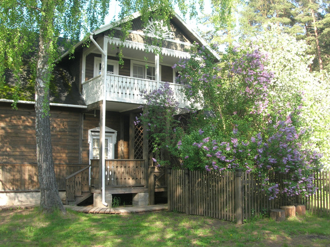 Mini-Hotel Sosedi Pushkina主图