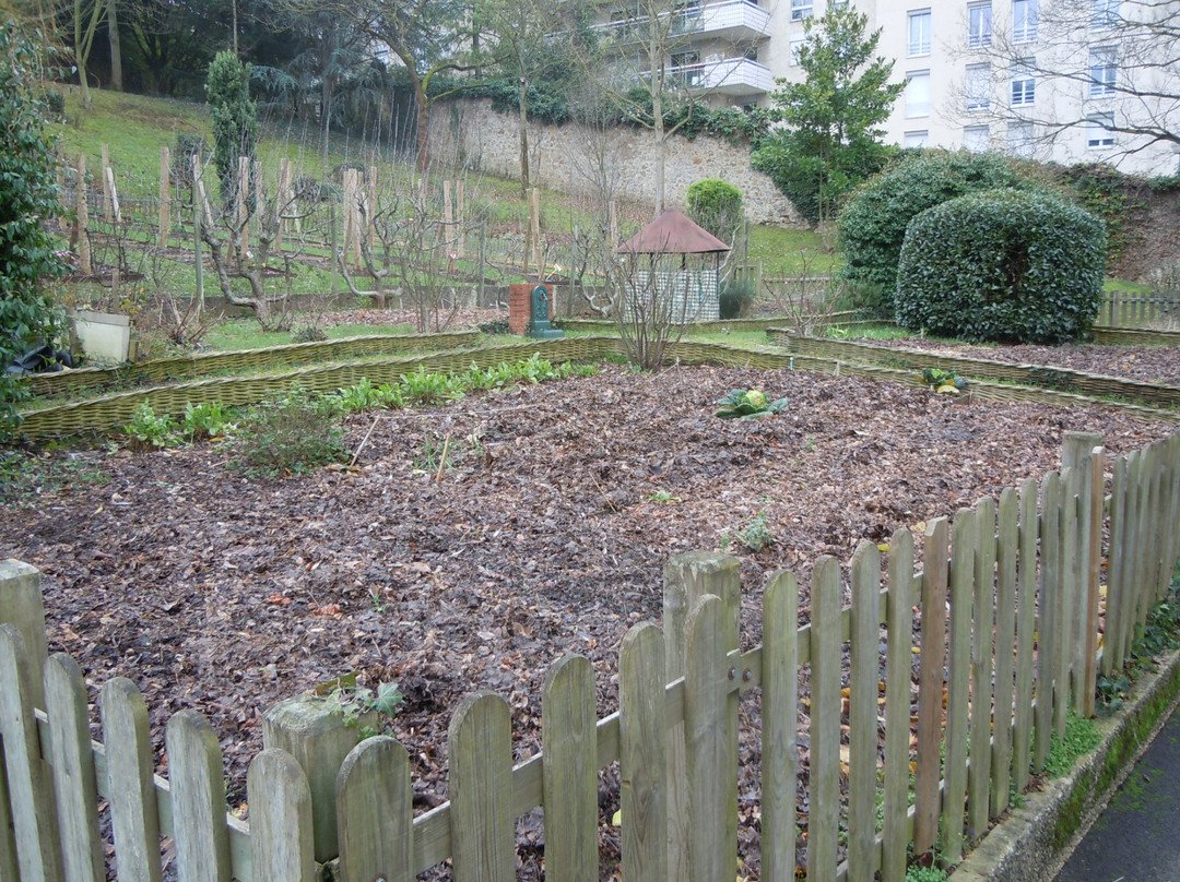Jardin Botanique景点图片