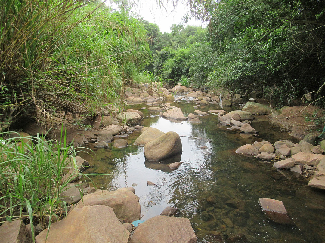 Kenneth Stainbank Nature Reserve-德班必去景点