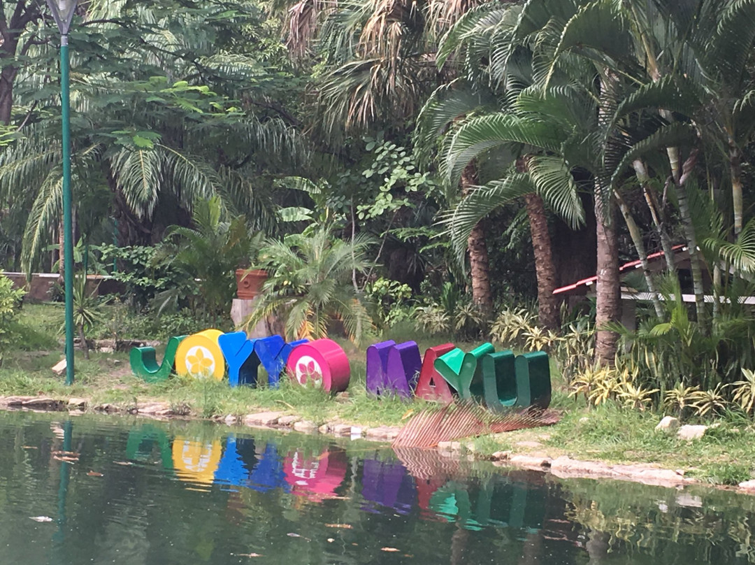 Parque Aereo de Aventuras Joyyo Mayu-图斯特拉古铁雷斯必去景点