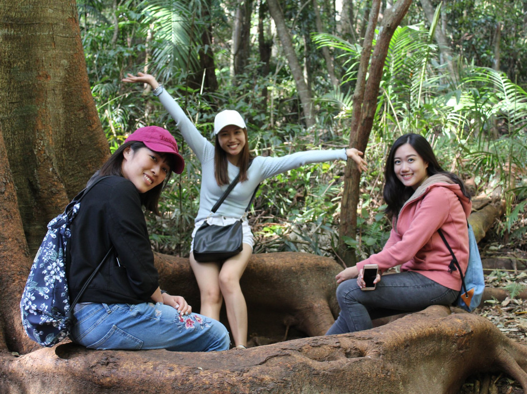 Paradise Tours-黄金海岸必去景点