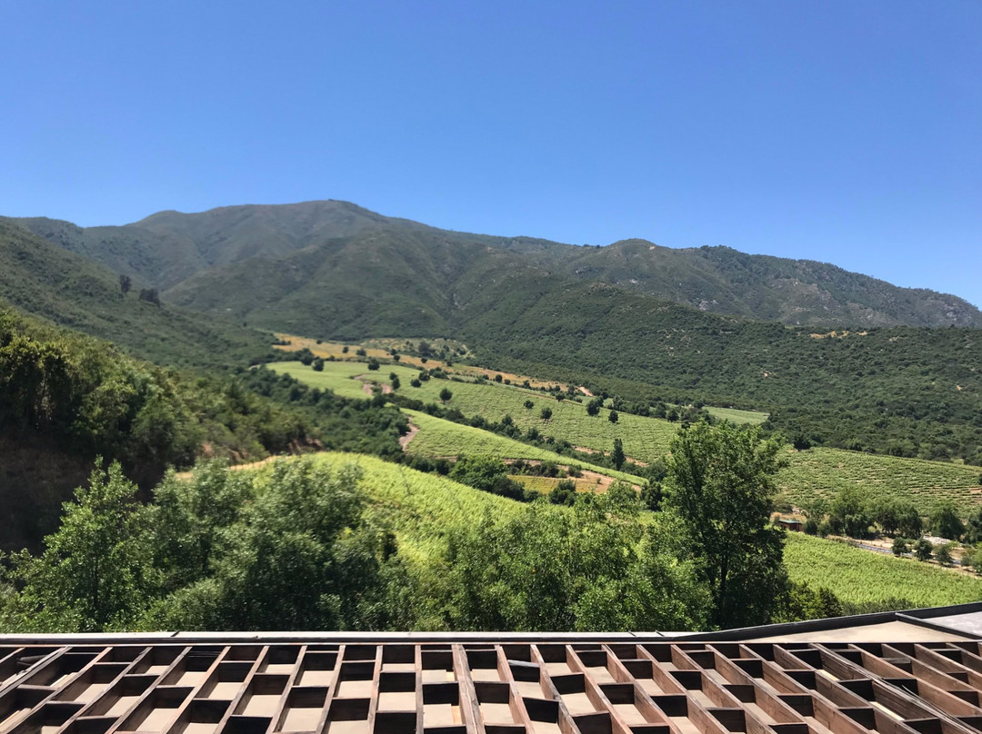 Lapostolle Residence Restaurant主图