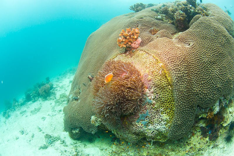 Misali island-奔巴岛必去景点