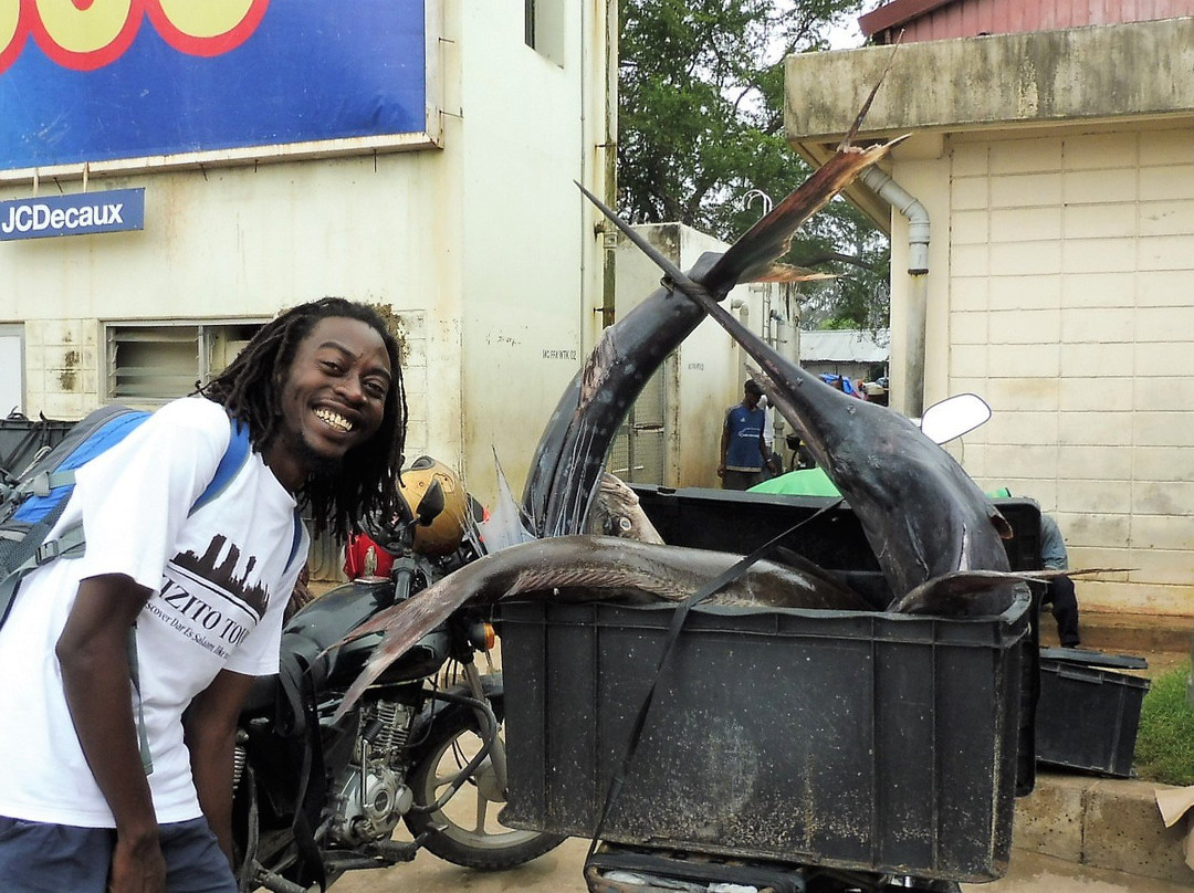 Kizito Tours-Dar es Salaam必去景点