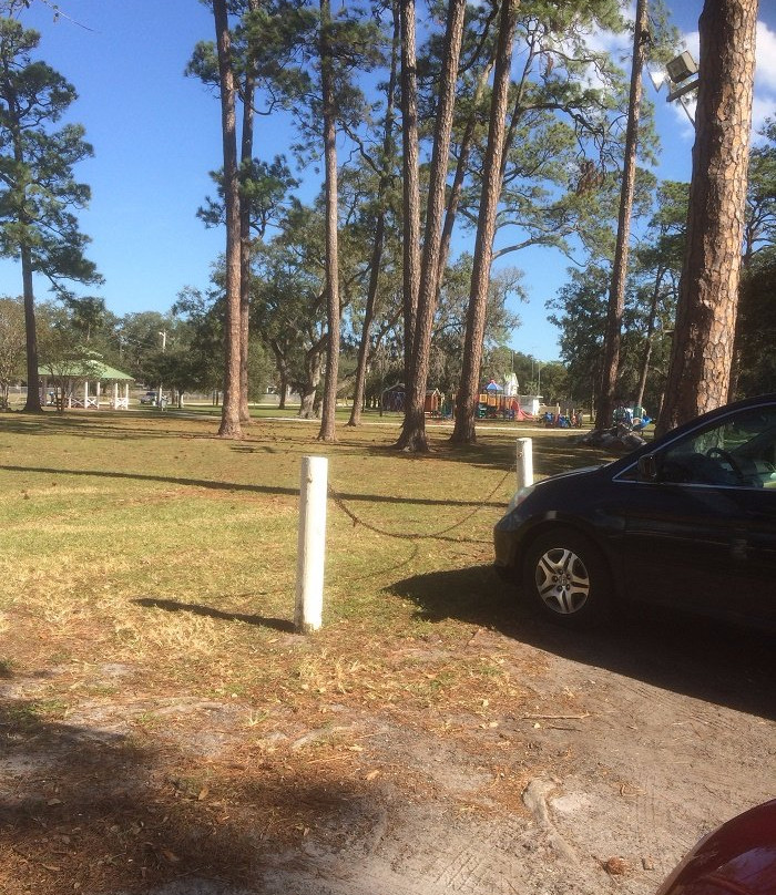 Central Park-费尔南迪纳岛必去景点