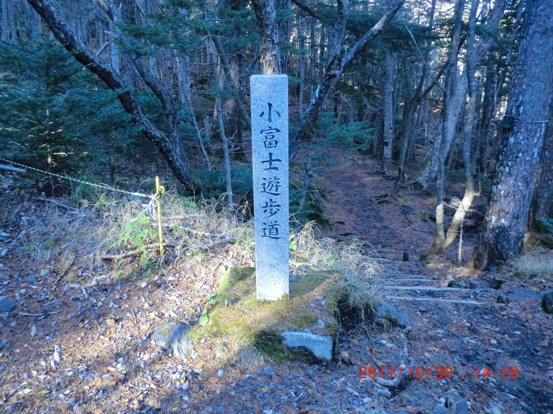 Mt. Kofuji景点图片