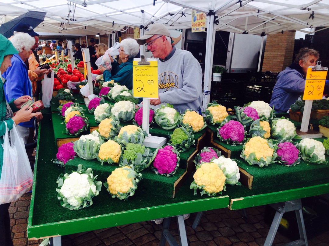Holland Farmers Market景点图片