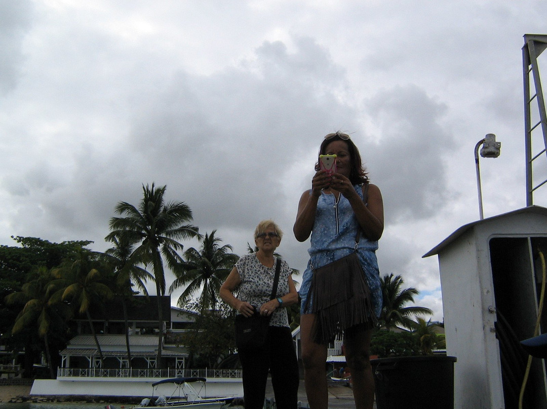 Ile aux Benitiers旅游攻略图片