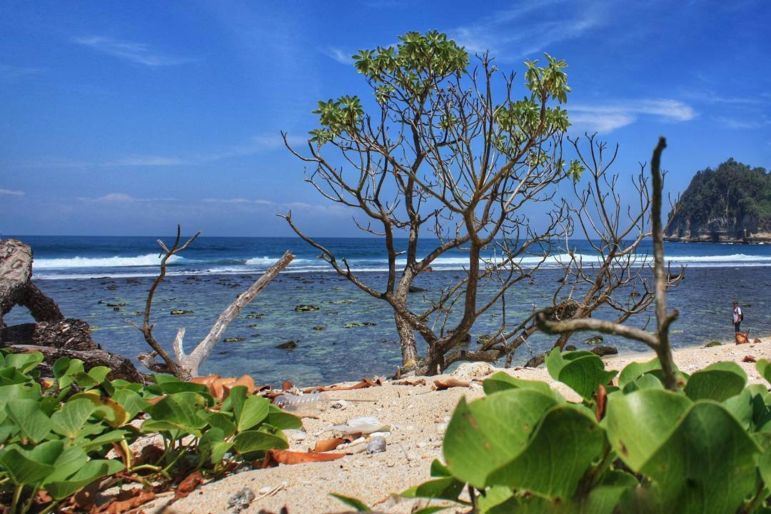 Ngalur Beach景点图片