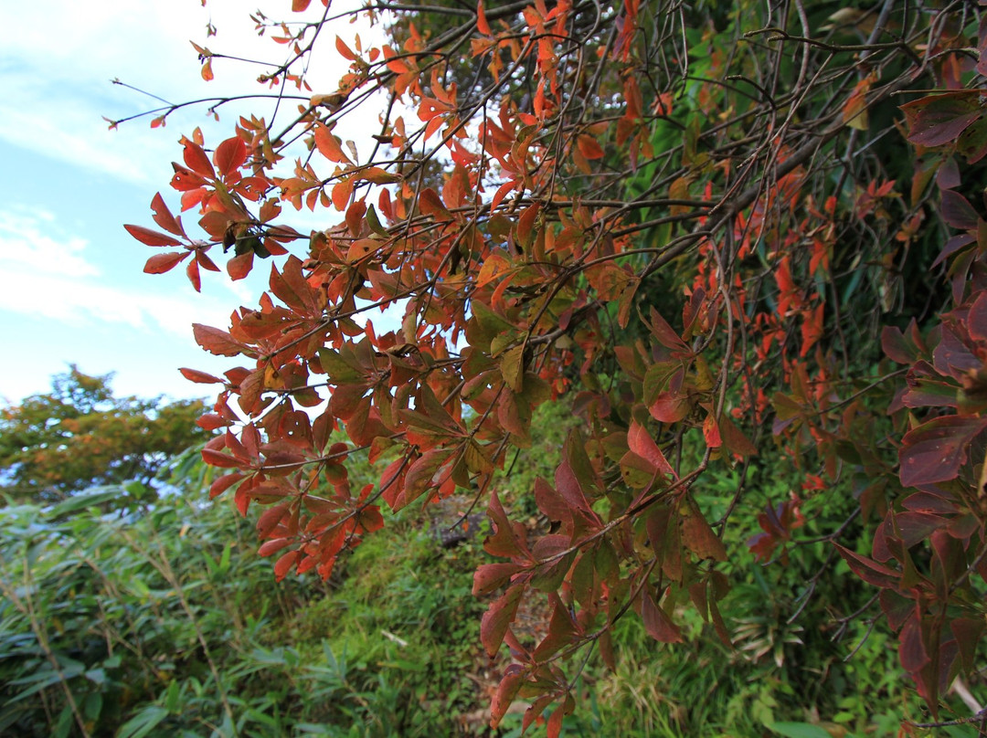 Washigatake-郡上市必去景点