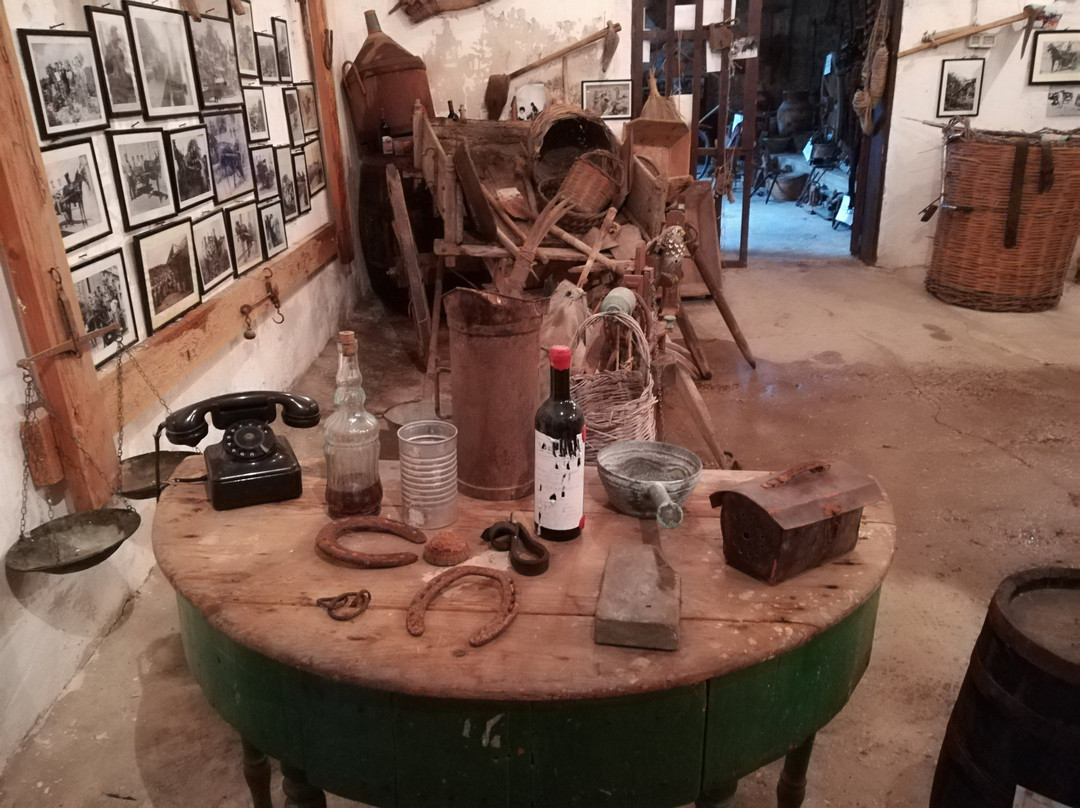 Museo del vino - Nobile-Pachino必去景点