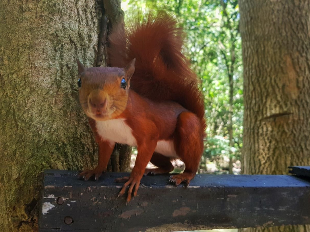 Connect 4 Language School-圣希尔必去景点