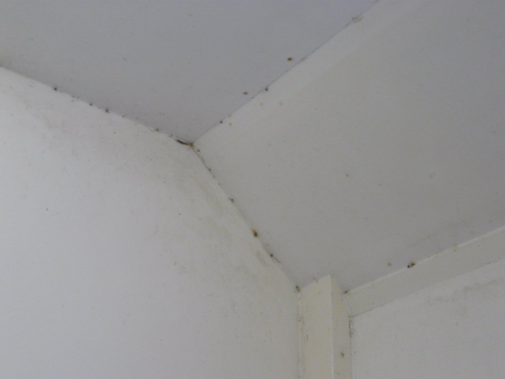 Shielbridge Caravan Park and Campsite-浴室