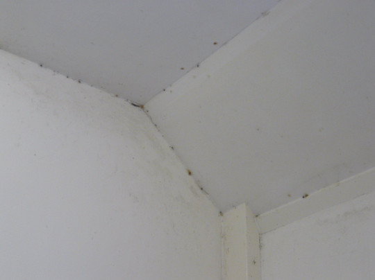 Shielbridge Caravan Park and Campsite主图