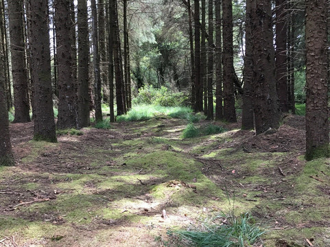 ADDES-Botmeur必去景点