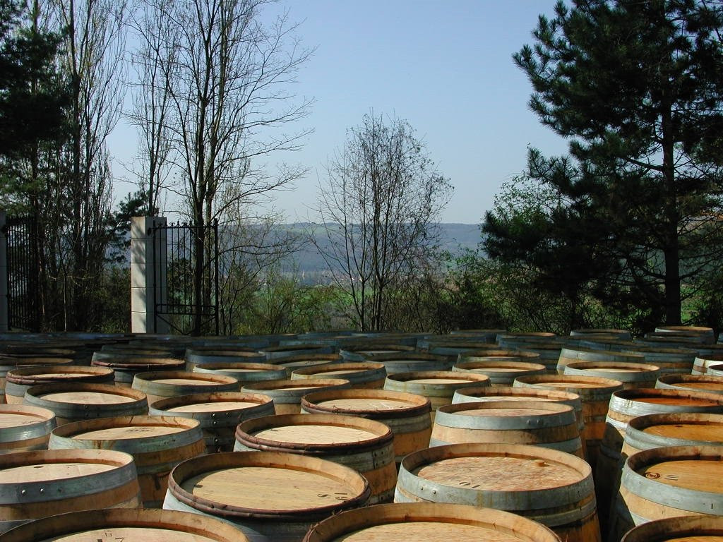 Domaine de Montmain景点图片