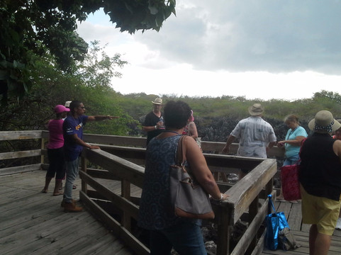 Amvivo-乔治城必去景点