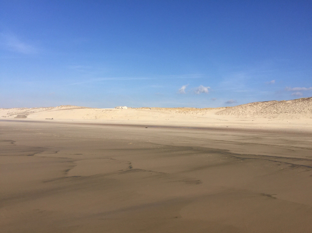 Plage du Pin Sec-Naujac-sur-Mer必去景点