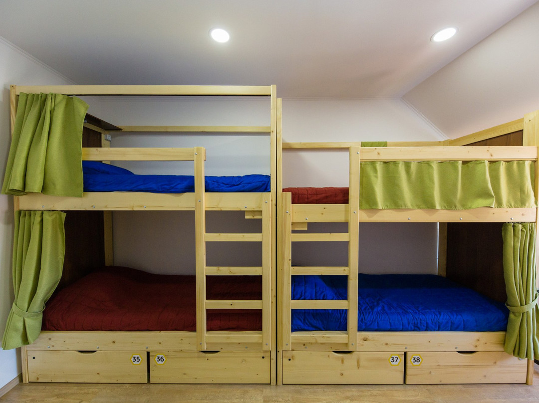 Vulyk Hostel