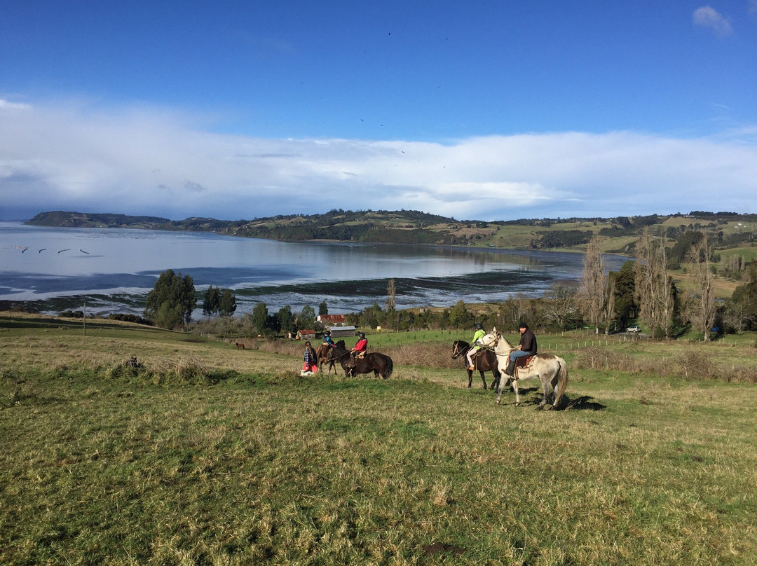 Rancho Pullao-Castro必去景点