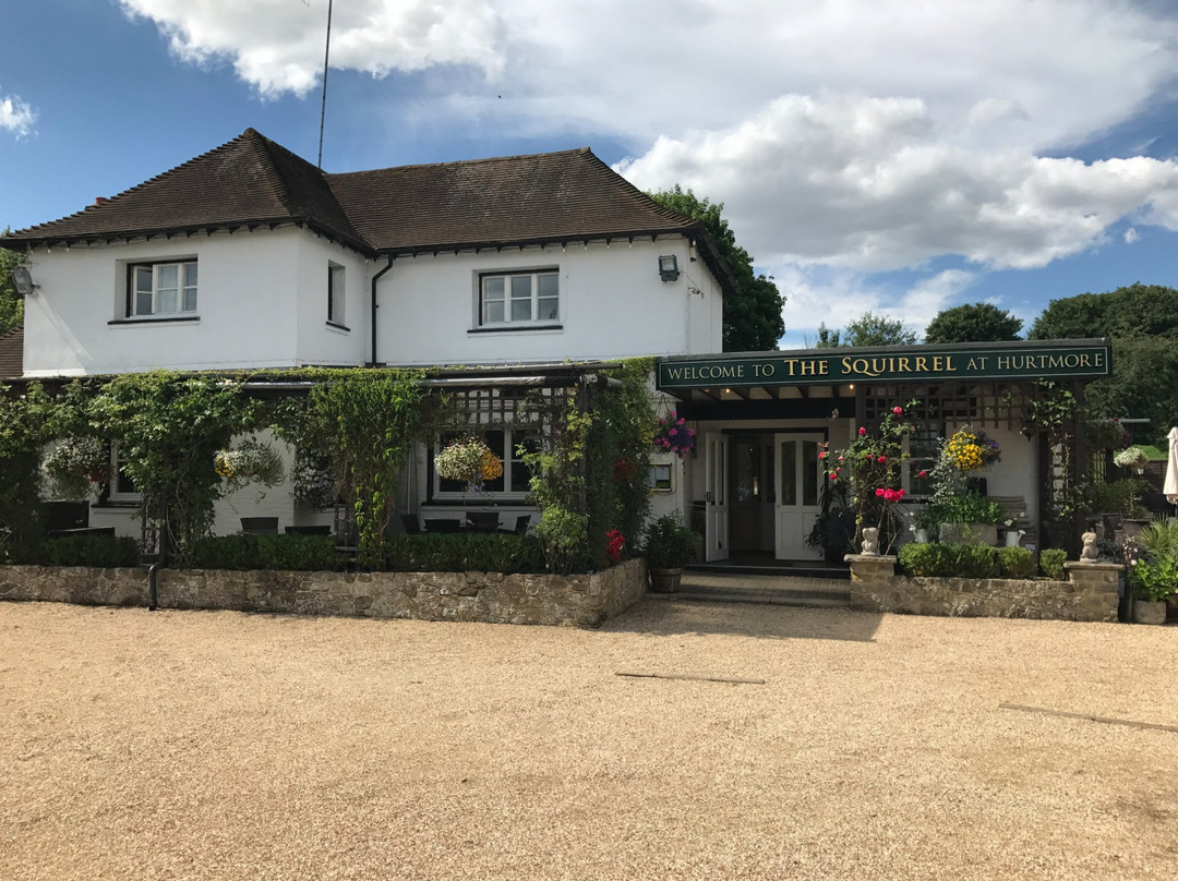 Milford酒店住宿-Squirrel Inn at Hurtmore