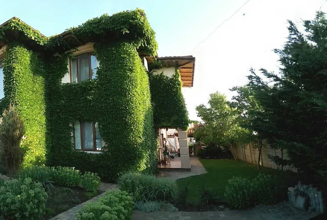 Villa Magrib and Shark主图