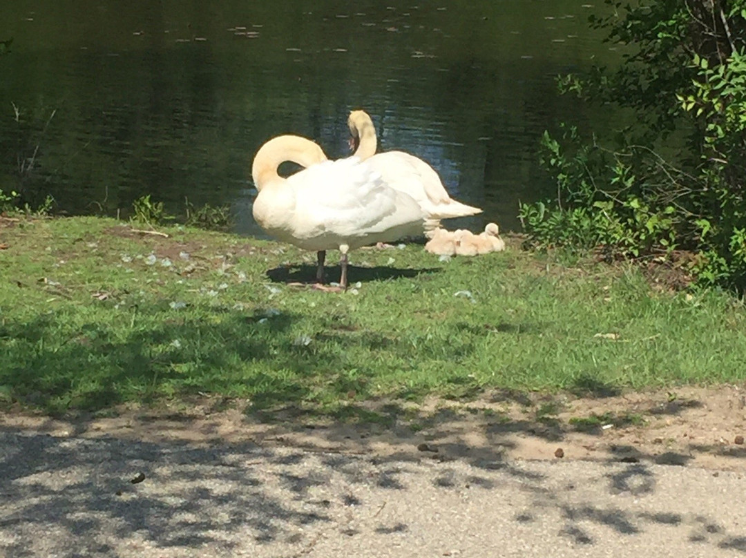Gallup Park-安娜堡必去景点