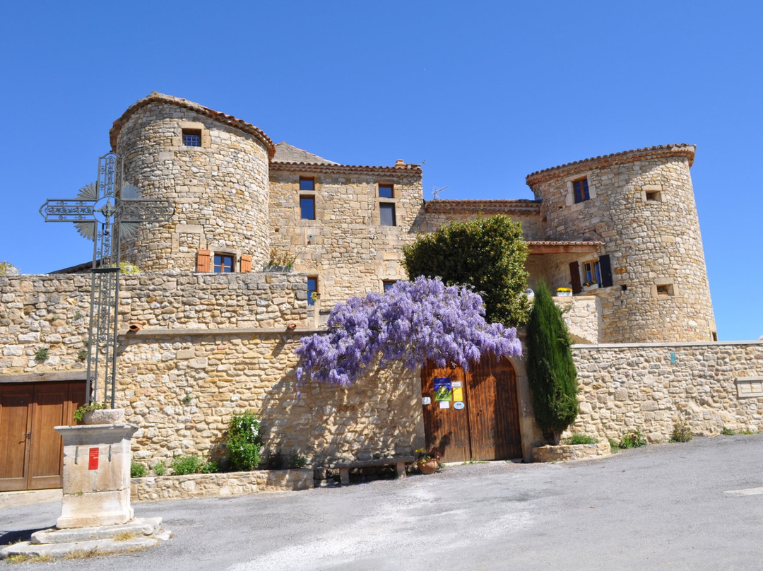 Saint-Sauveur-de-Cruzieres酒店住宿-Chateau de Bessas