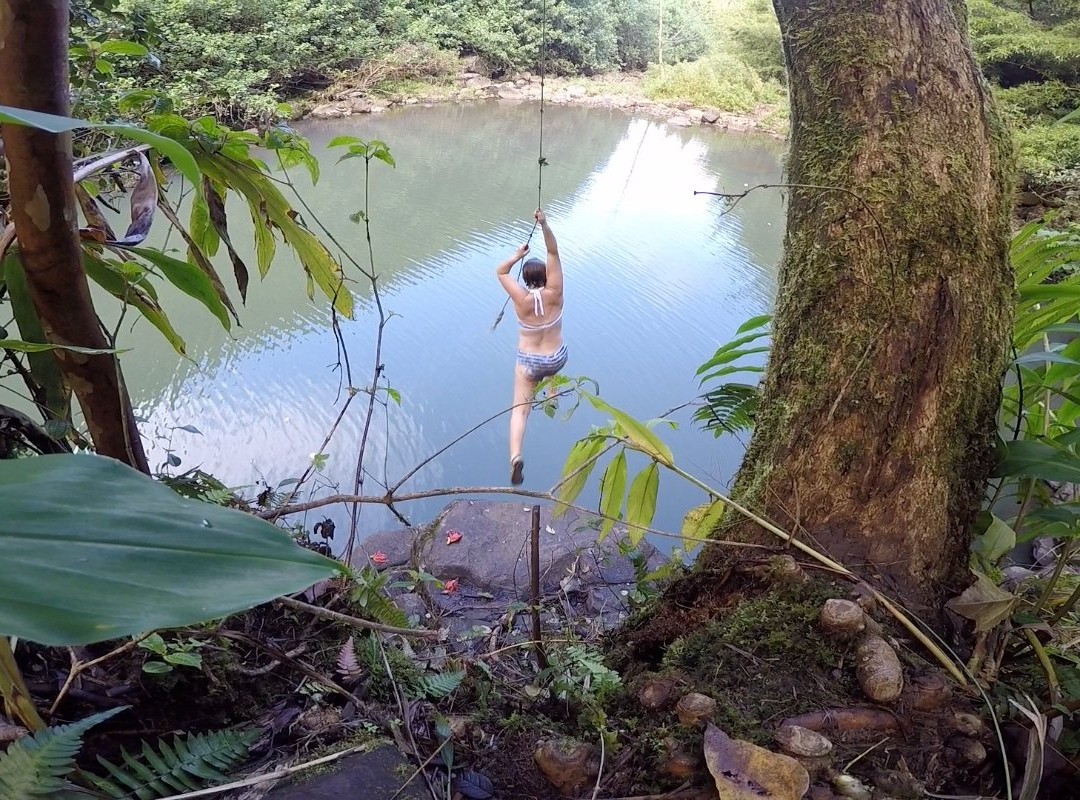 Epic Maui Hikes-哈纳必去景点