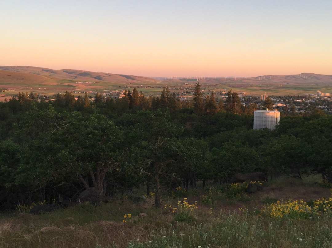 Goldendale Observatory State Park-Goldendale必去景点