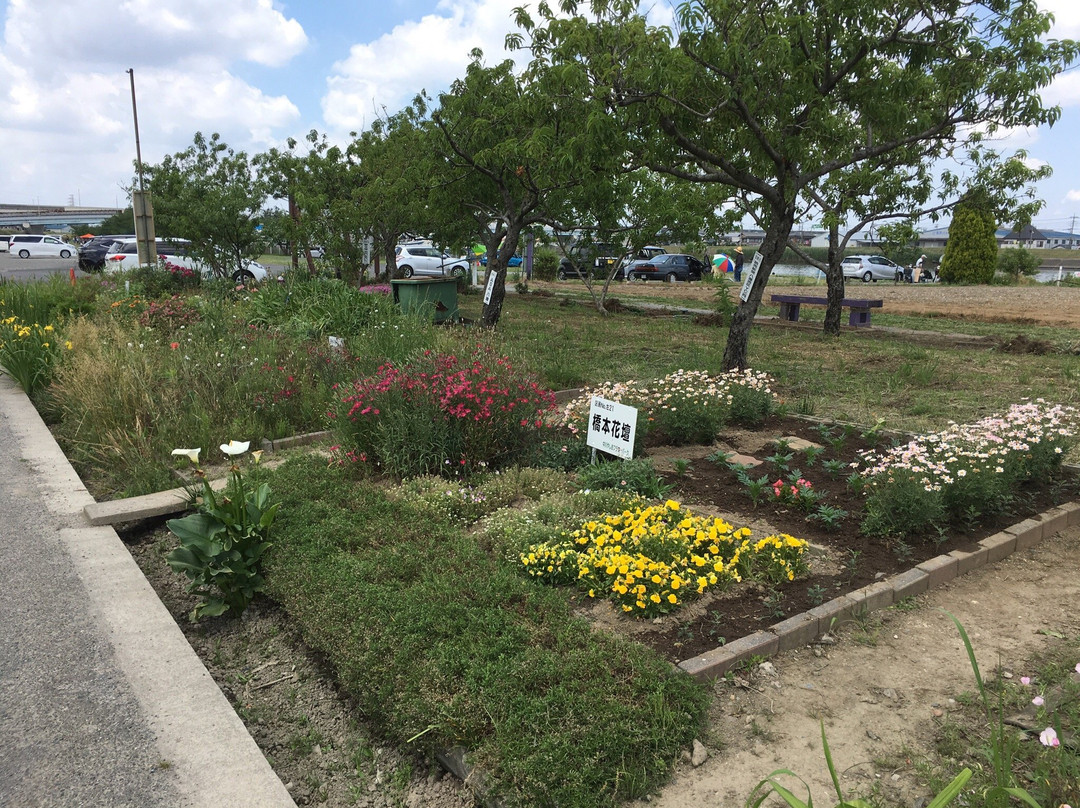 Nakagawa Yashio Flower Park-八潮市必去景点