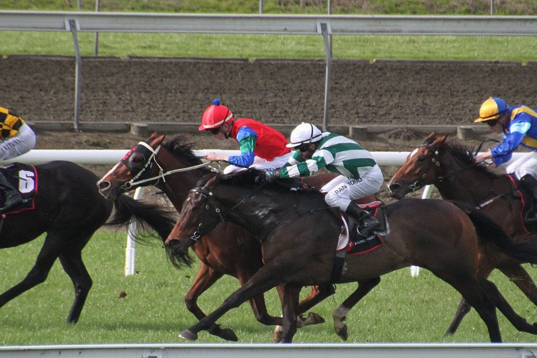 Pukekohe Park-普基寇希必去景点