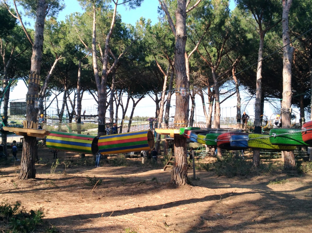 Parco Avventura Riva dei Tarquini景点图片
