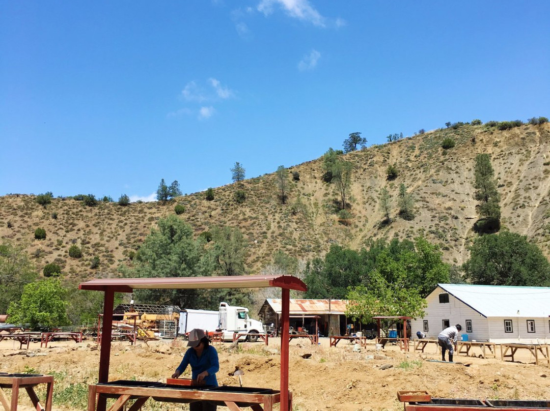 Benitoite Mining Company-科灵加必去景点