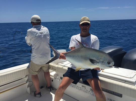 Catch 'Em All-马拉松必去景点