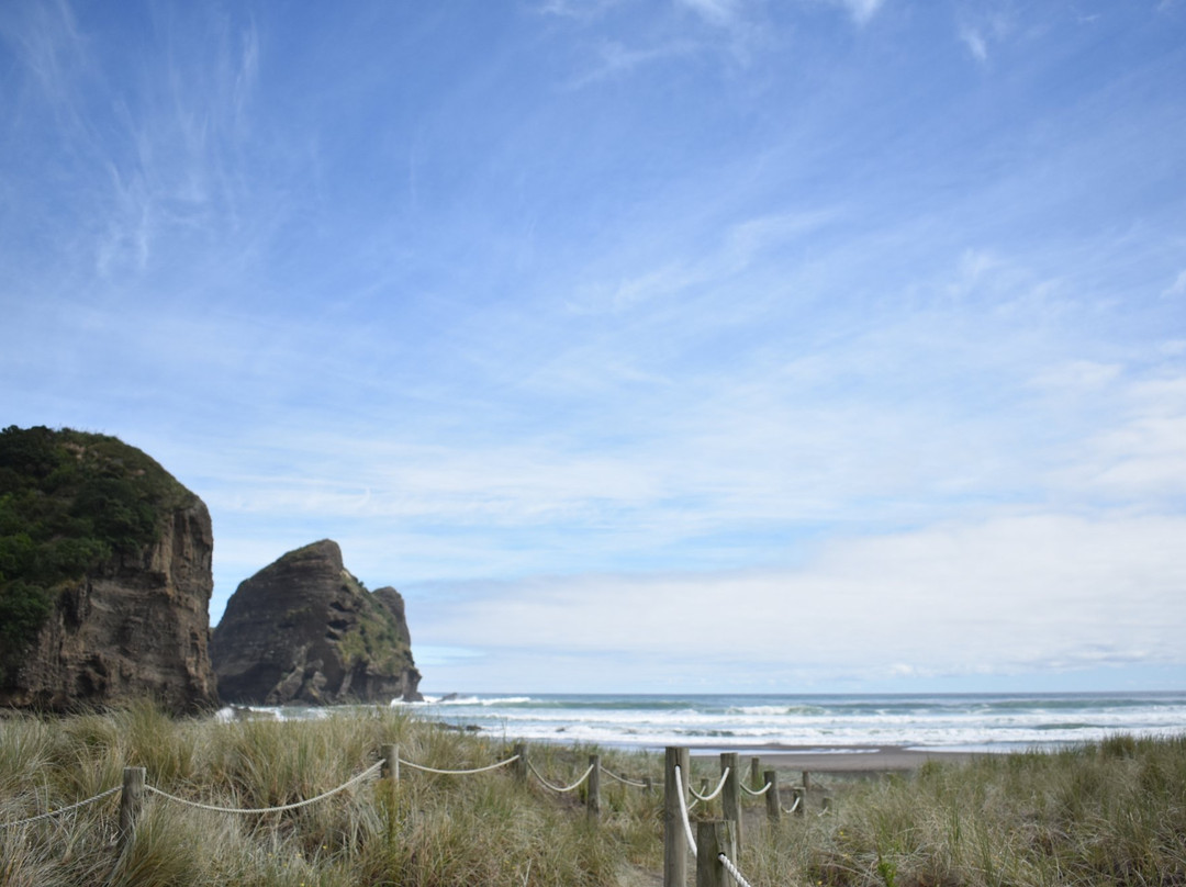 Oh Yeah Tours-皮哈海滩必去景点