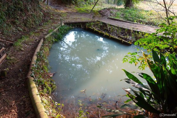 Teashi no Kamisama-和水町必去景点