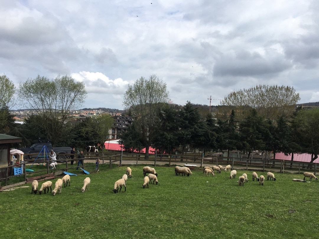 Göçmen's Ranch-伊斯坦布尔必去景点