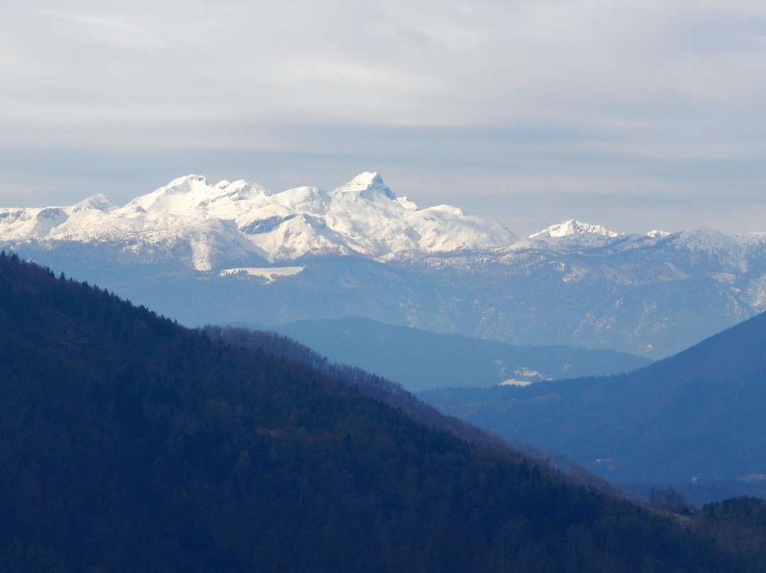 Cerkev Sv. Križ na Gori Oljki景点图片